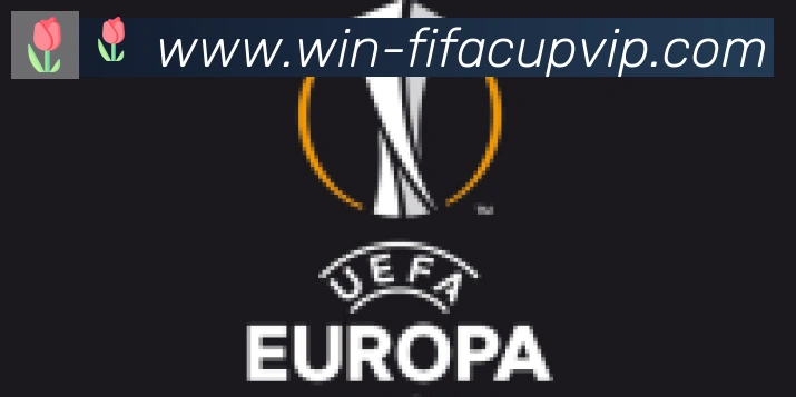FIFA世界杯买球入口合作伙伴